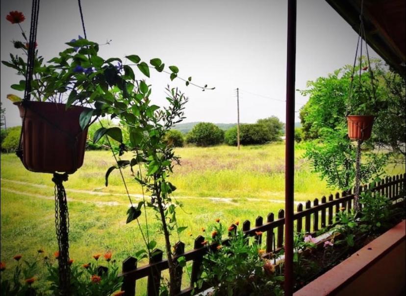 The Happy Holiday home Ioannina